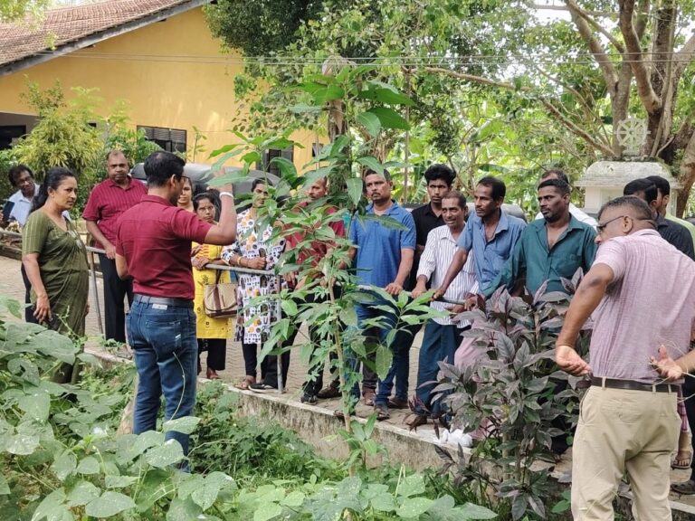 Empowerment of Disabled Farmers in Ampara District